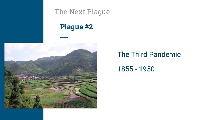 The Next Plague #2 The Third Pandemic 1855 - 1950 