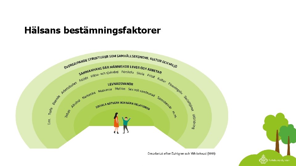 Hälsans bestämningsfaktorer 