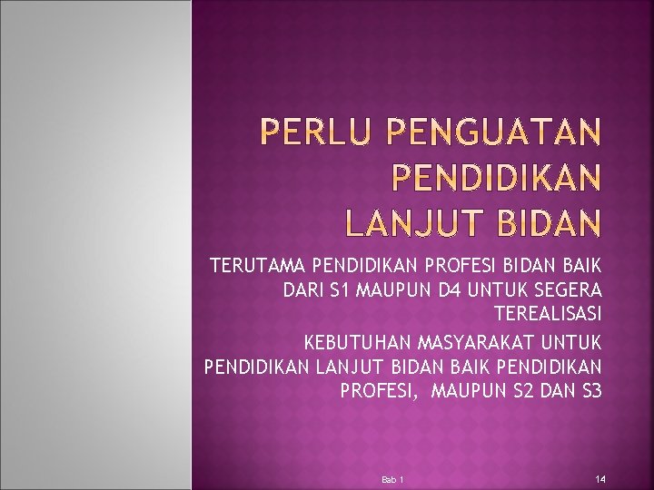 TERUTAMA PENDIDIKAN PROFESI BIDAN BAIK DARI S 1 MAUPUN D 4 UNTUK SEGERA TEREALISASI