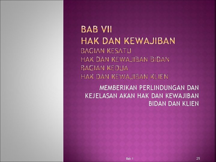 MEMBERIKAN PERLINDUNGAN DAN KEJELASAN AKAN HAK DAN KEWAJIBAN BIDAN KLIEN Bab 1 25 