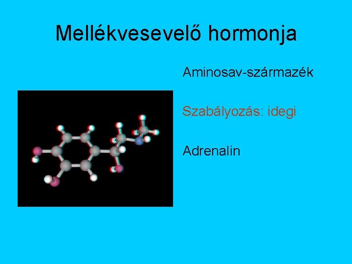Mellékvesevelő hormonja Aminosav-származék Szabályozás: idegi Adrenalin 