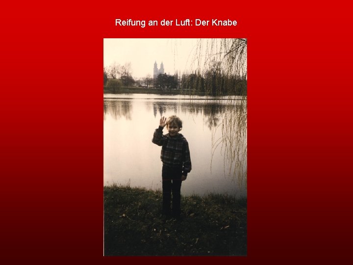 Reifung an der Luft: Der Knabe 