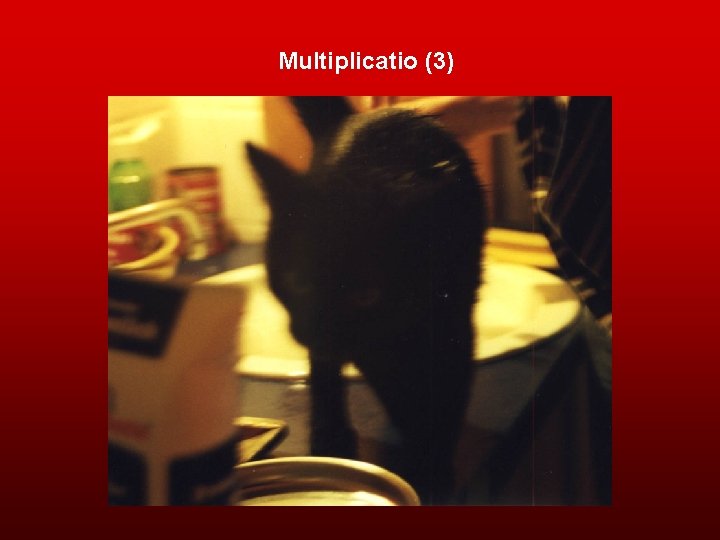 Multiplicatio (3) 
