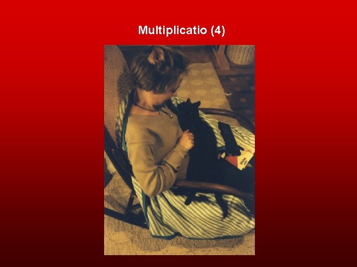 Multiplicatio (4) 