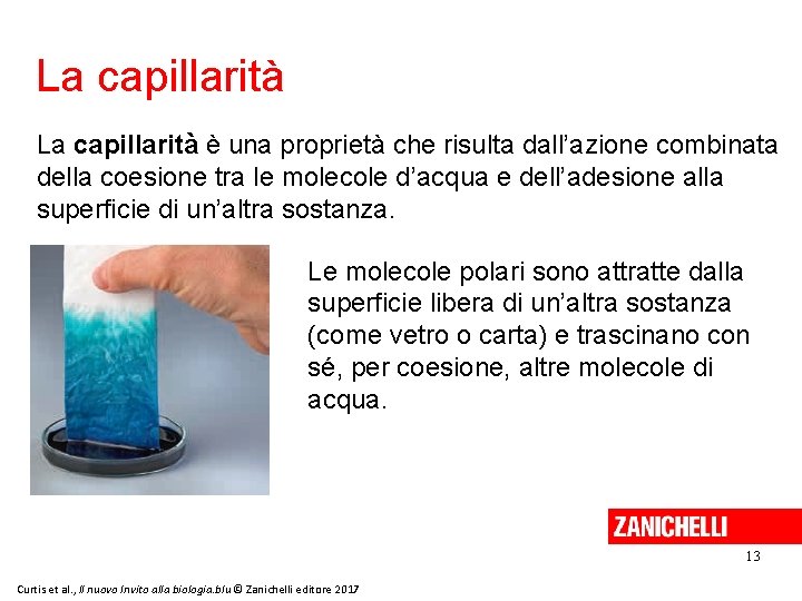 La capillarità è una proprietà che risulta dall’azione combinata della coesione tra le molecole