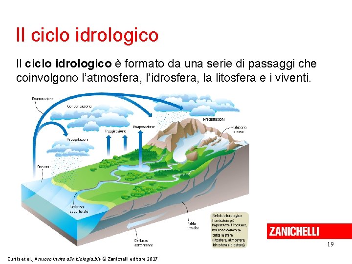 Il ciclo idrologico è formato da una serie di passaggi che coinvolgono l’atmosfera, l’idrosfera,