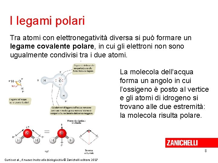 I legami polari Tra atomi con elettronegatività diversa si può formare un legame covalente