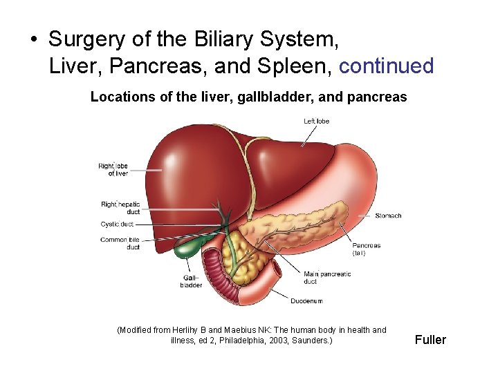  • Surgery of the Biliary System, Liver, Pancreas, and Spleen, continued Locations of