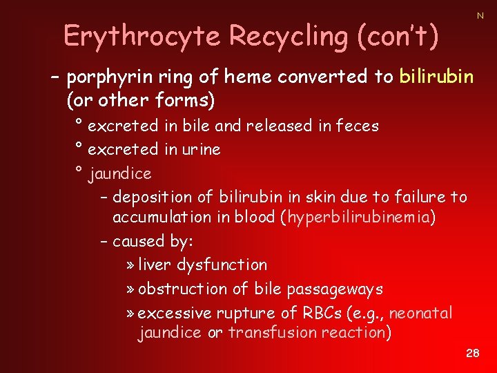 N Erythrocyte Recycling (con’t) – porphyrin ring of heme converted to bilirubin (or other
