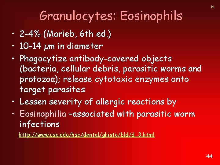 Granulocytes: Eosinophils N • 2 -4% (Marieb, 6 th ed. ) • 10 -14