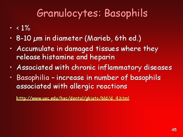 Granulocytes: Basophils • < 1% • 8 -10 µm in diameter (Marieb, 6 th