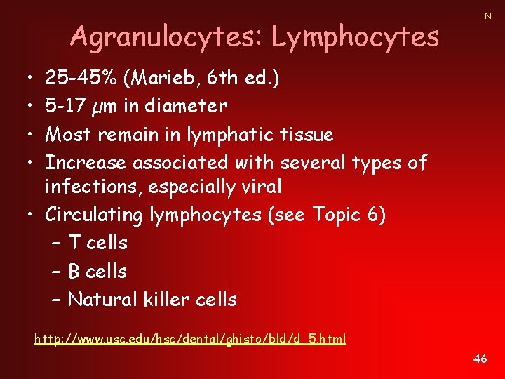 Agranulocytes: Lymphocytes N • • 25 -45% (Marieb, 6 th ed. ) 5 -17