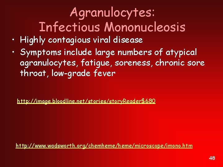 Agranulocytes: Infectious Mononucleosis • Highly contagious viral disease • Symptoms include large numbers of