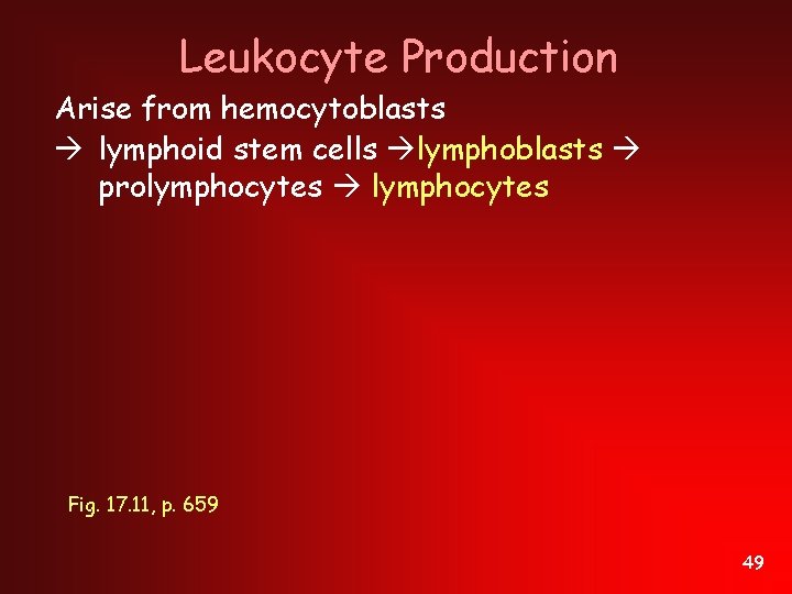 Leukocyte Production Arise from hemocytoblasts lymphoid stem cells lymphoblasts prolymphocytes Fig. 17. 11, p.