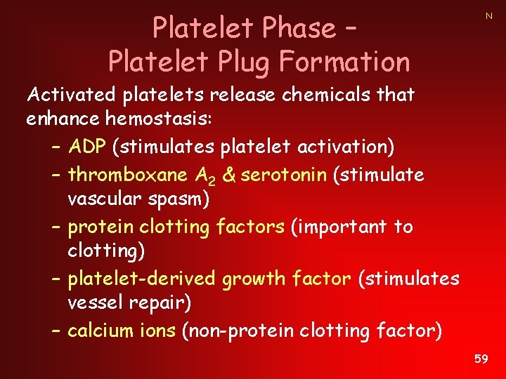Platelet Phase – Platelet Plug Formation N Activated platelets release chemicals that enhance hemostasis:
