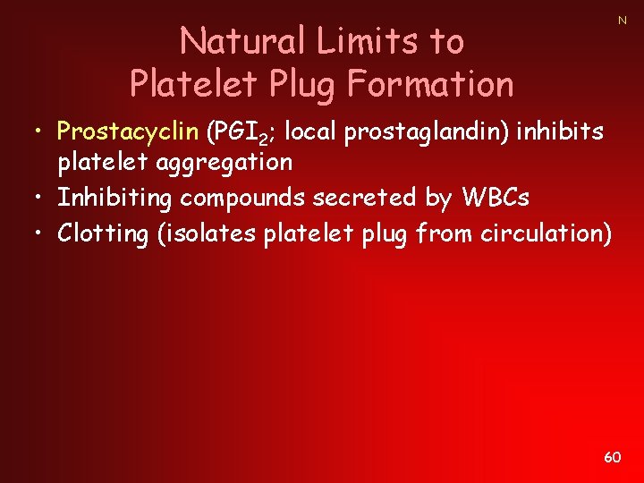 N Natural Limits to Platelet Plug Formation • Prostacyclin (PGI 2; local prostaglandin) inhibits