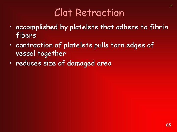 N Clot Retraction • accomplished by platelets that adhere to fibrin fibers • contraction