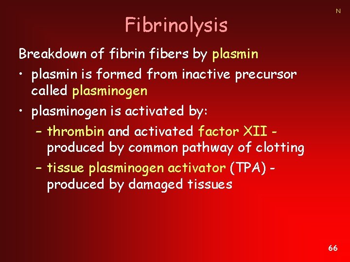 Fibrinolysis N Breakdown of fibrin fibers by plasmin • plasmin is formed from inactive