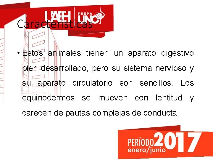 Caracteristicas • Estos animales tienen un aparato digestivo bien desarrollado, pero su sistema nervioso