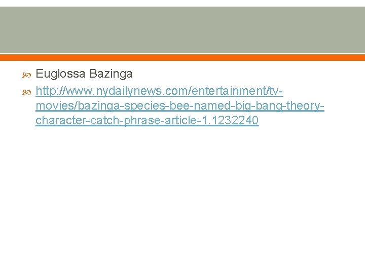  Euglossa Bazinga http: //www. nydailynews. com/entertainment/tvmovies/bazinga-species-bee-named-big-bang-theorycharacter-catch-phrase-article-1. 1232240 