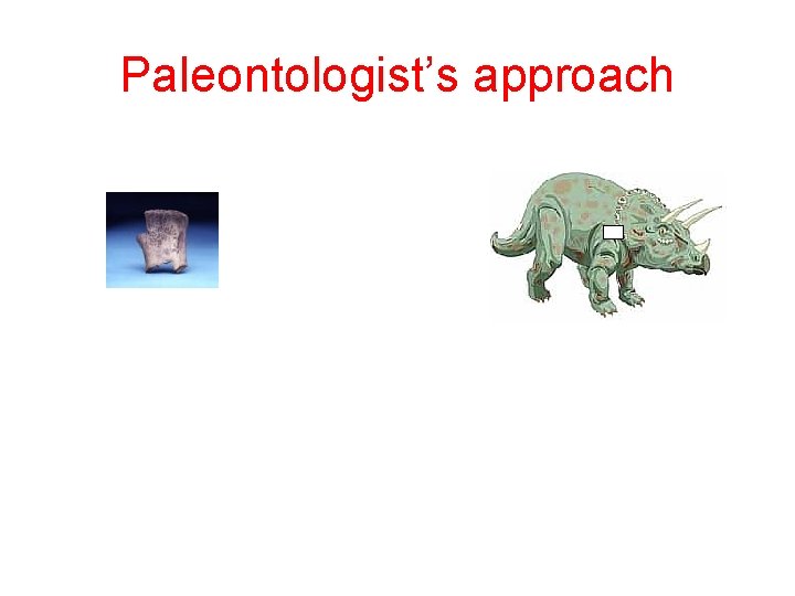 Paleontologist’s approach 