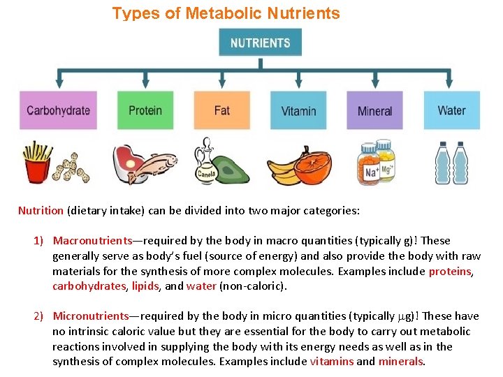 Types of Metabolic Nutrients Nutrition (dietary intake) can be divided into two major categories: