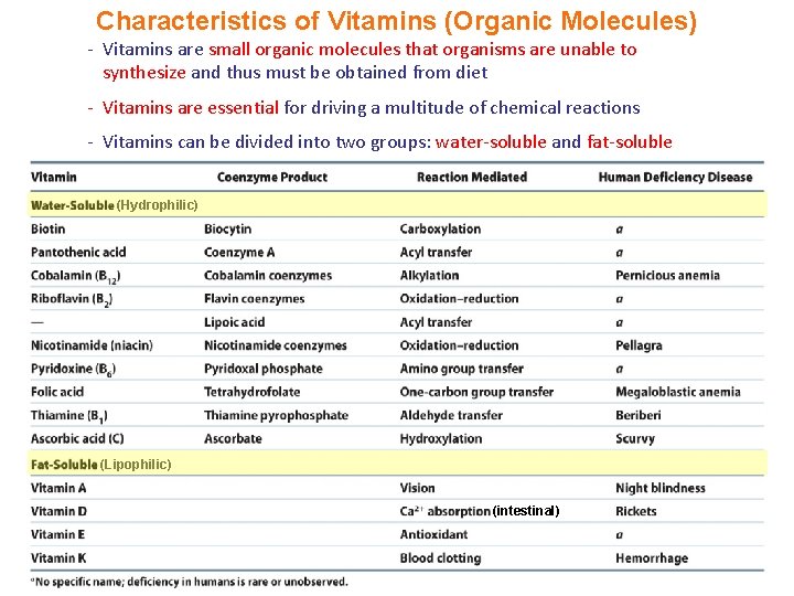 Characteristics of Vitamins (Organic Molecules) - Vitamins are small organic molecules that organisms are