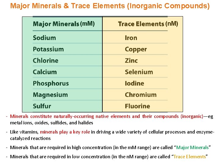 Major Minerals & Trace Elements (Inorganic Compounds) (m. M) (n. M) - Minerals constitute