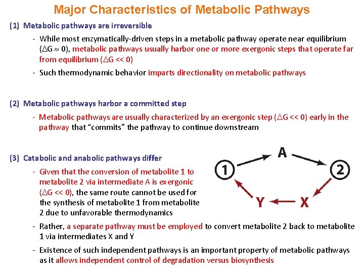 Major Characteristics of Metabolic Pathways (1) Metabolic pathways are irreversible - While most enzymatically-driven