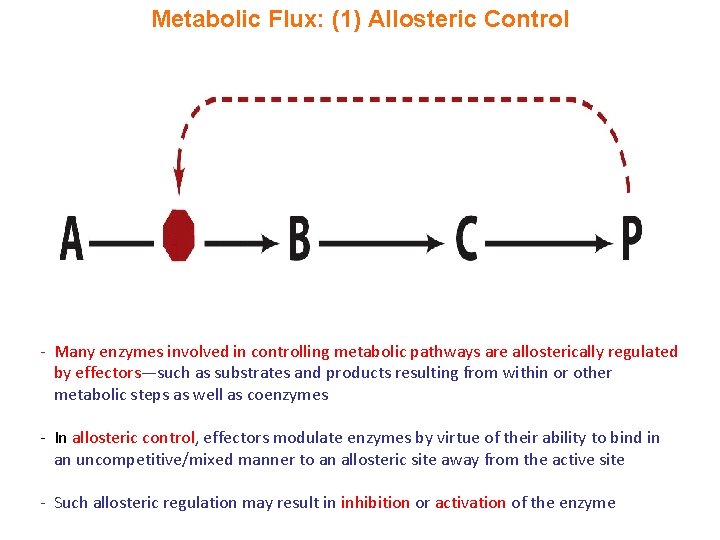 Metabolic Flux: (1) Allosteric Control - Many enzymes involved in controlling metabolic pathways are