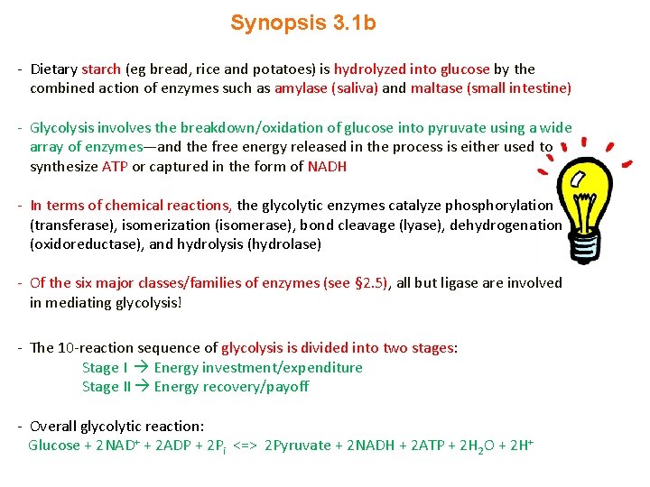 Synopsis 3. 1 b - Dietary starch (eg bread, rice and potatoes) is hydrolyzed