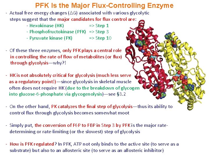 PFK Is the Major Flux-Controlling Enzyme - Actual free energy changes ( G) associated