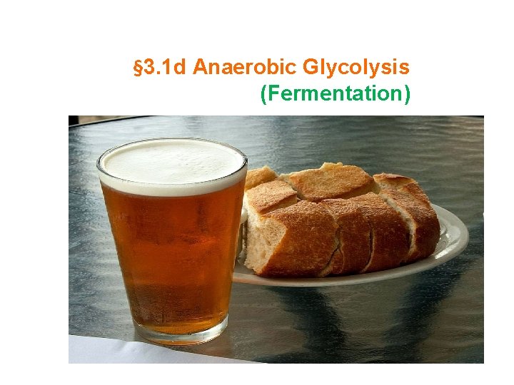 § 3. 1 d Anaerobic Glycolysis (Fermentation) 