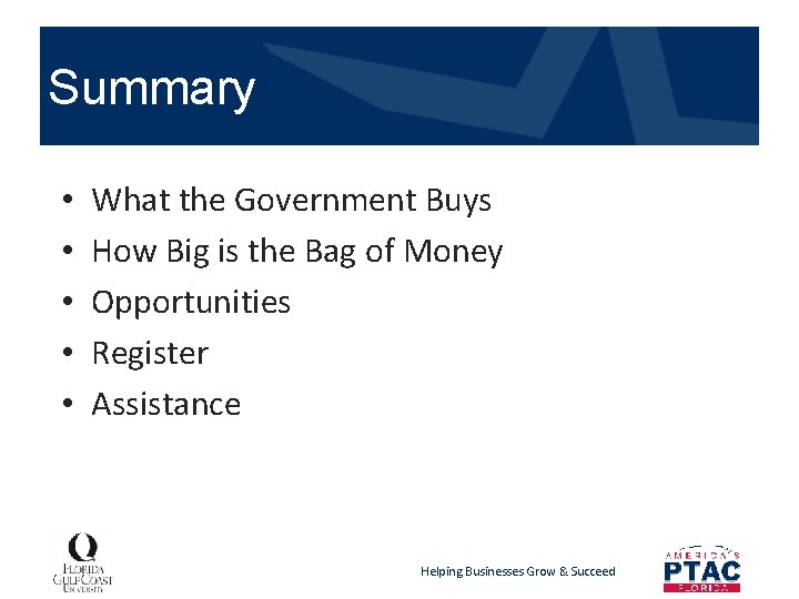 Summary • • • What the Government Buys How Big is the Bag of