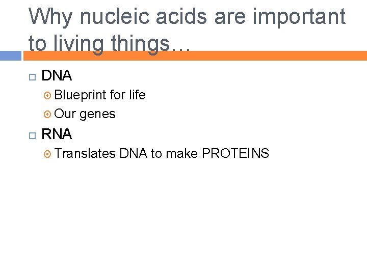 Why nucleic acids are important to living things… DNA Blueprint for life Our genes