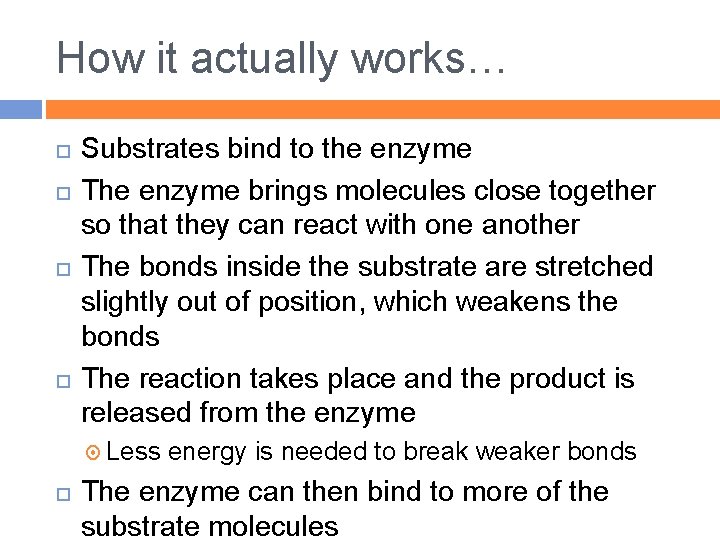 How it actually works… Substrates bind to the enzyme The enzyme brings molecules close