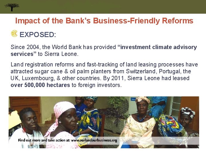 Impact of the Bank’s Business-Friendly Reforms EXPOSED: Since 2004, the World Bank has provided