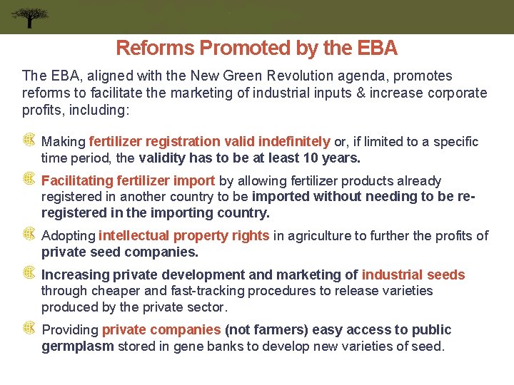 Reforms Promoted by the EBA The EBA, aligned with the New Green Revolution agenda,