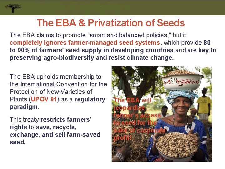 The EBA & Privatization of Seeds The EBA claims to promote “smart and balanced