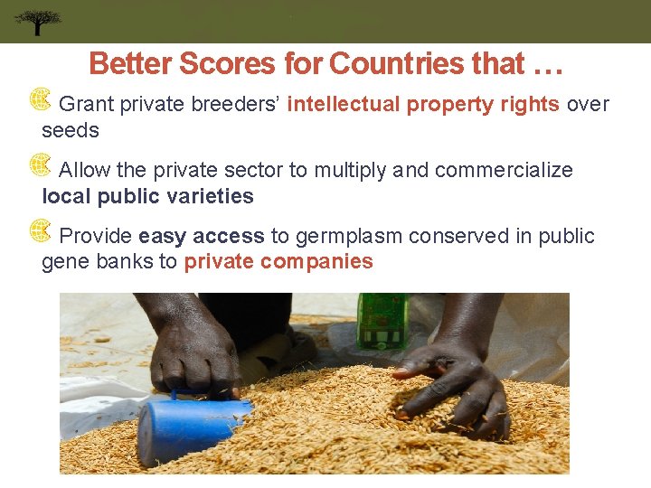 Better Scores for Countries that … Grant private breeders’ intellectual property rights over seeds