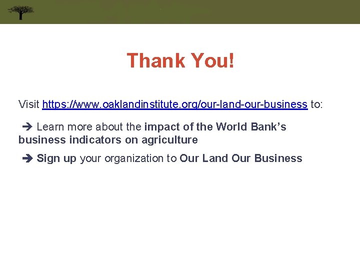 Thank You! Visit https: //www. oaklandinstitute. org/our-land-our-business to: Learn more about the impact of