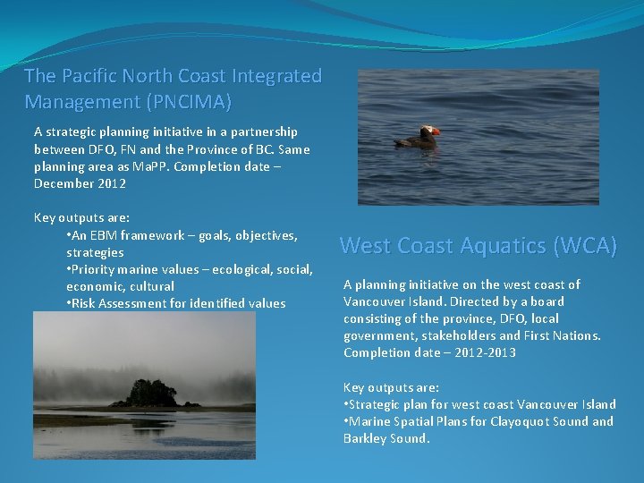 The Pacific North Coast Integrated Management (PNCIMA) A strategic planning initiative in a partnership