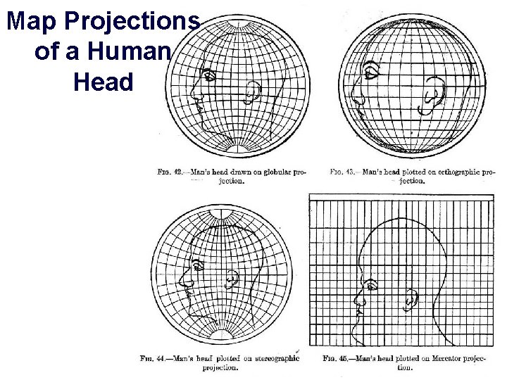 Map Projections of a Human Head 