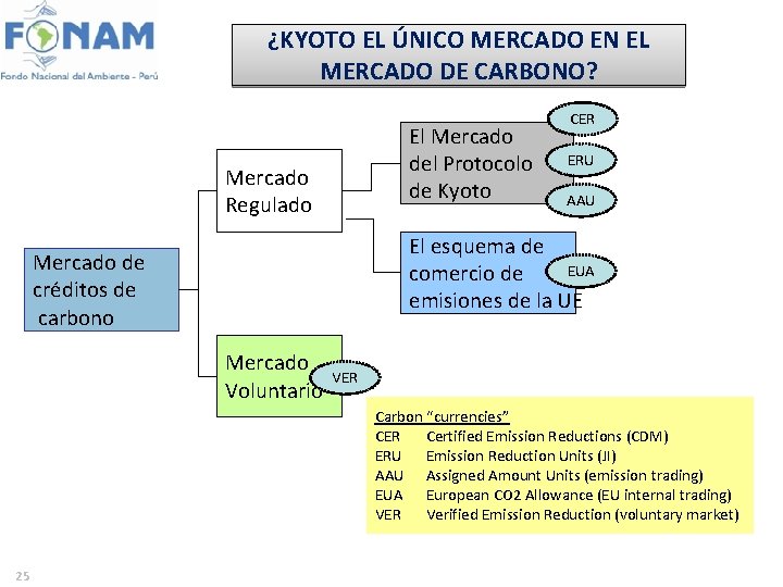 ¿KYOTO EL ÚNICO MERCADO EN EL MERCADO DE CARBONO? El Mercado del Protocolo de