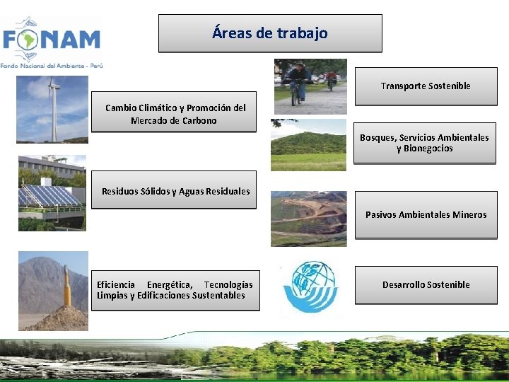 Áreas de trabajo Cambio Climático y Promoción del Transporte Sostenible Mercado de Carbono Bosques,