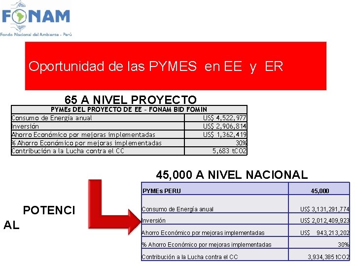 Oportunidad de las PYMES en EE y ER 65 A NIVEL PROYECTO PYMEs DEL