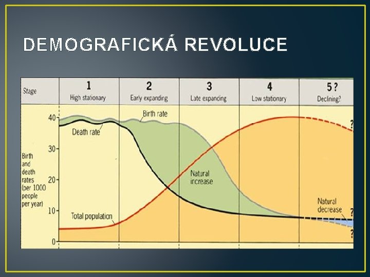 DEMOGRAFICKÁ REVOLUCE 