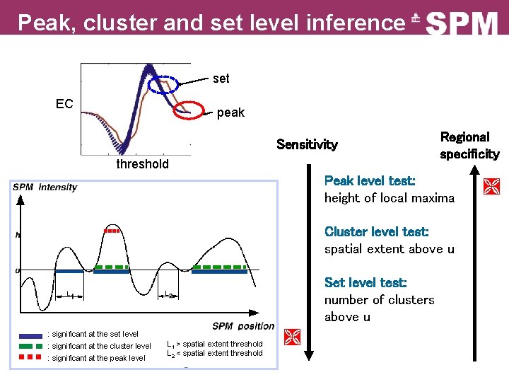 Peak, cluster and set level inference set EC peak Sensitivity threshold Regional specificity Peak