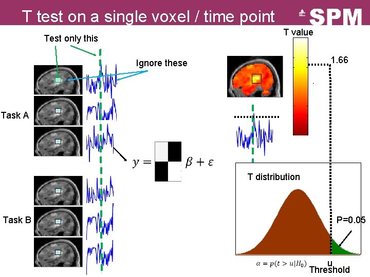 T test on a single voxel / time point T value Test only this