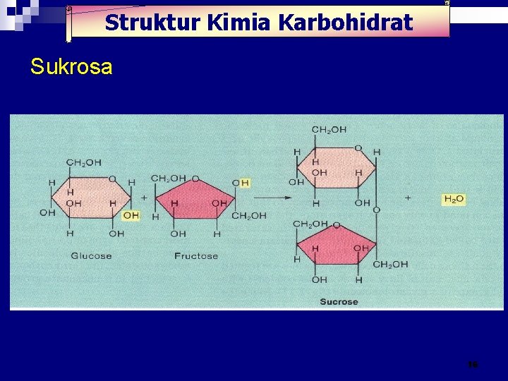 Struktur Kimia Karbohidrat Sukrosa 16 Struktur Kimia Karbohidrat Sukrosa 16